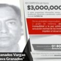 Los Granados: El Grupo Criminal en la Costa Grande de Guerrero y el Vacío de Poder Tras la Muerte de ‘El Nene’