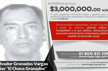 Los Granados: El Grupo Criminal en la Costa Grande de Guerrero y el Vacío de Poder Tras la Muerte de ‘El Nene’